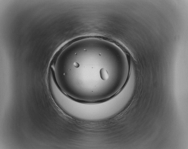 X0000116451460200912081608