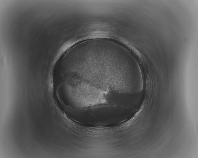 X0000116451461200912081608