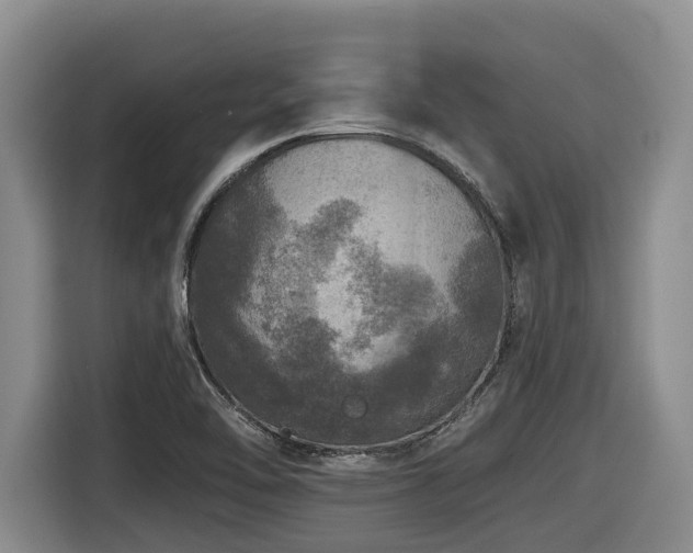 X0000116451462200912081608