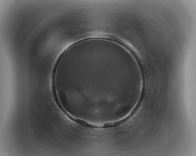 X0000116451463200912081608