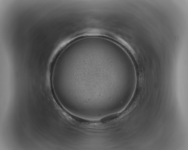 X0000116451464200912081607