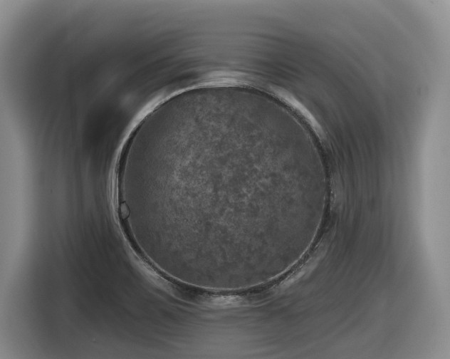 X0000116451467200912081607