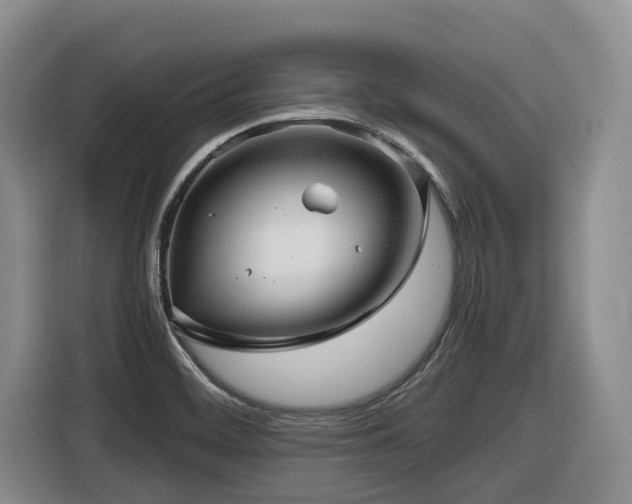 X0000116451468200912081607