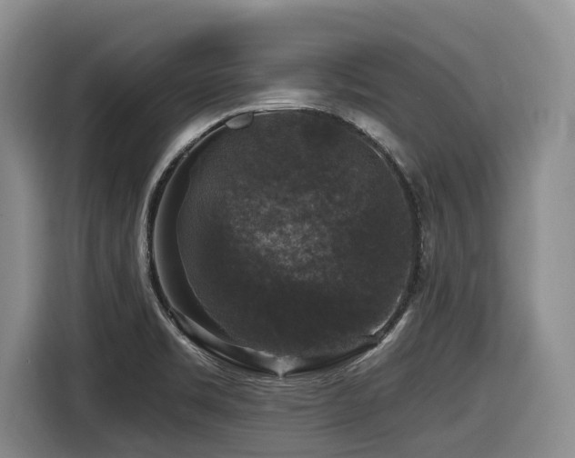 X0000116451469200912081607