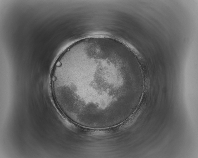 X0000116451470200912081607