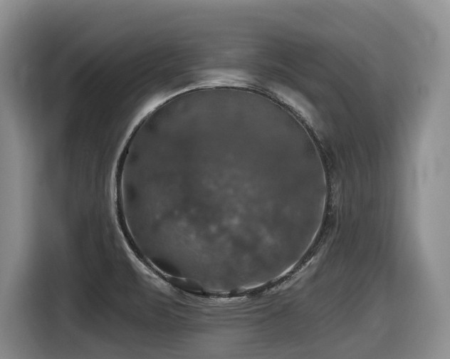 X0000116451471200912081607