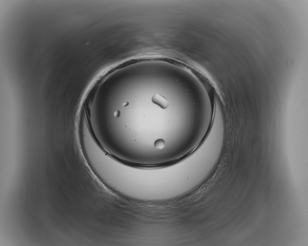 X0000116451472200912081607
