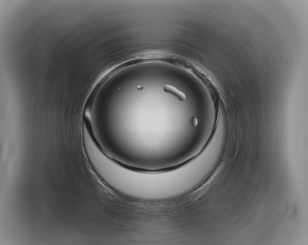 X0000116451473200912081607