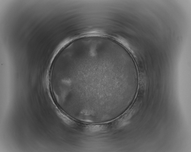 X0000116451474200912081607
