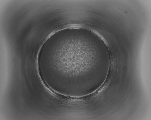 X0000116451475200912081607