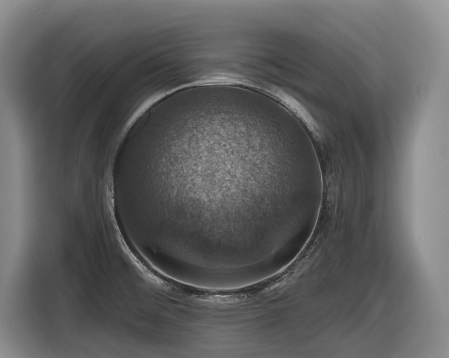X0000116451476200912081607