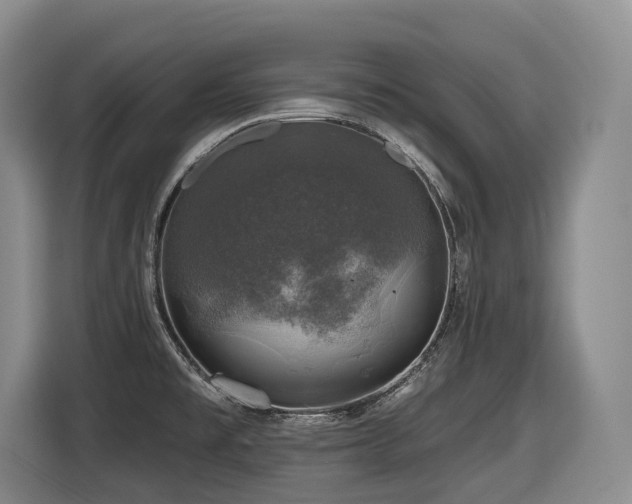 X0000116451477200912081607