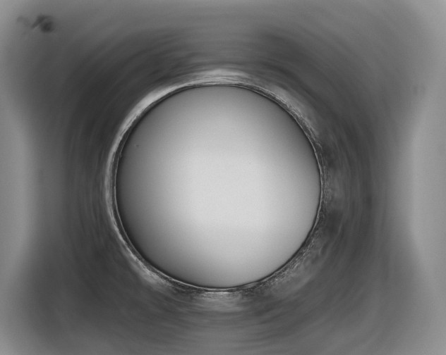 X0000116451478200912081607