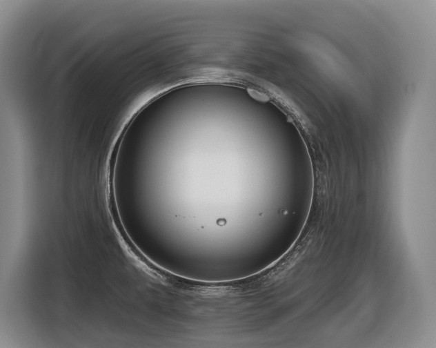 X0000116451479200912081607