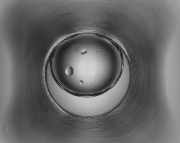 X0000116451480200912081607