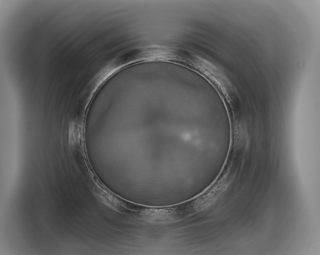X0000116451481200912081607