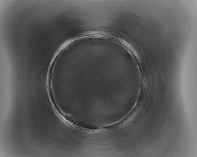 X0000116451482200912081607