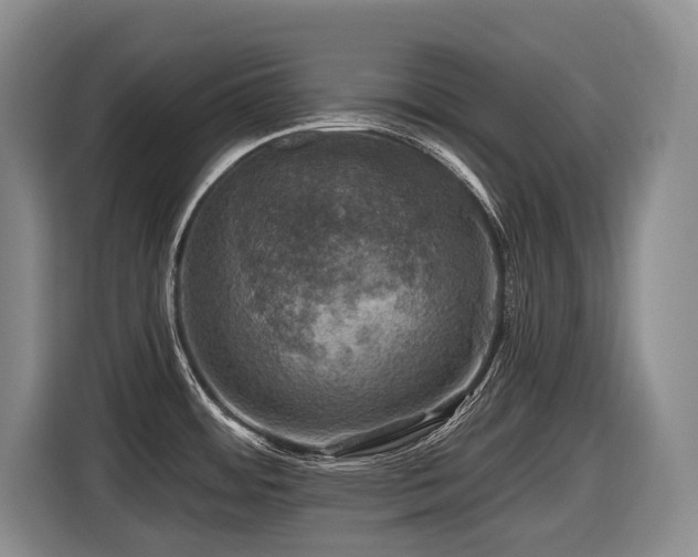 X0000116451484200912081607