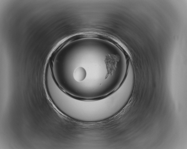 X0000116451485200912081607
