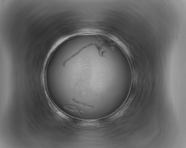 X0000116451486200912081607