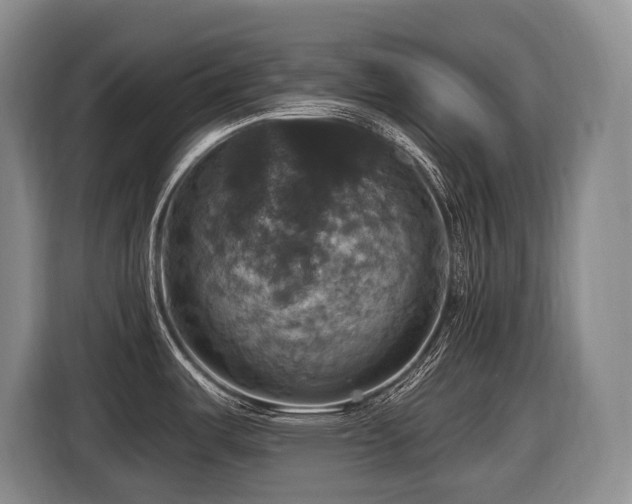 X0000116451487200912081607