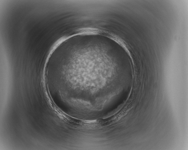 X0000116451488200912081607