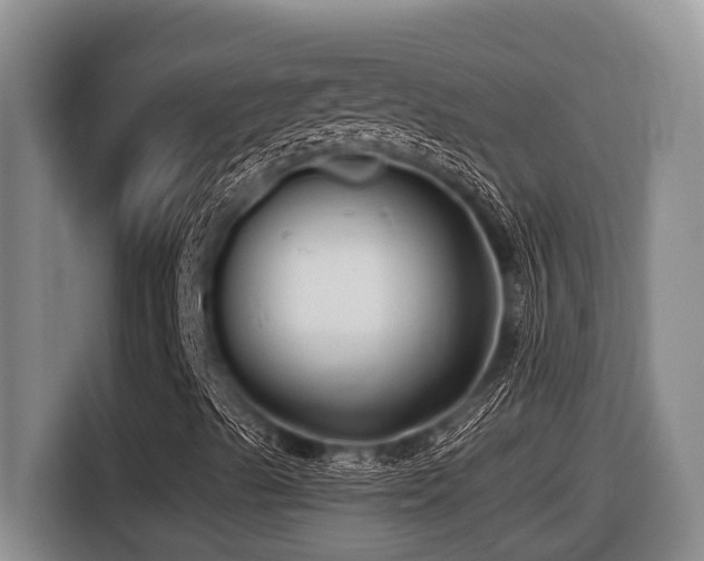 X0000116451489200912081606