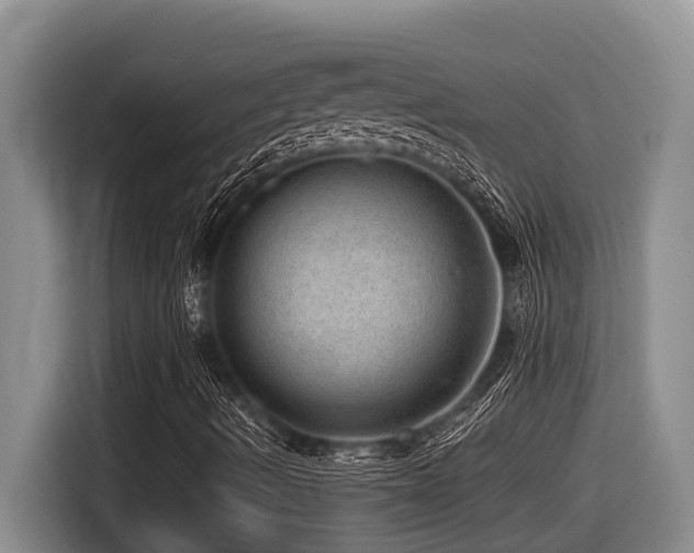 X0000116451490200912081606