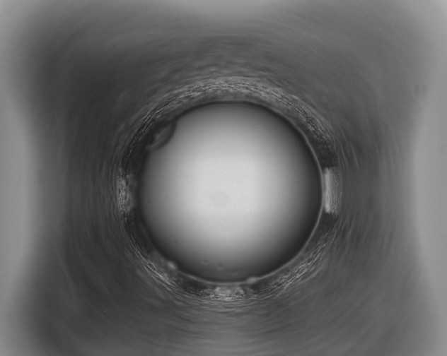 X0000116451491200912081606