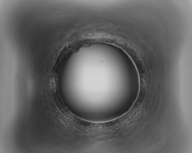 X0000116451493200912081606