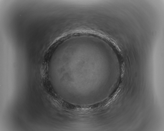 X0000116451494200912081607