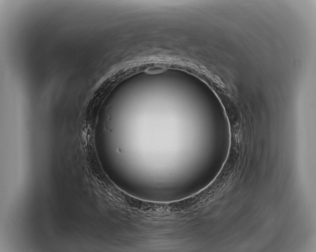 X0000116451495200912081607