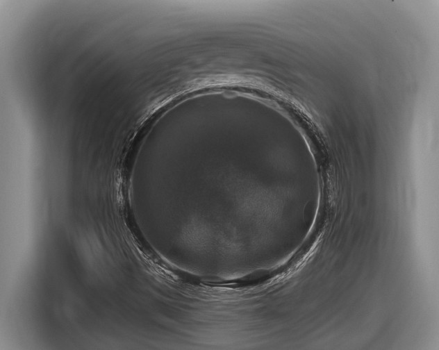 X0000116451497200912081607
