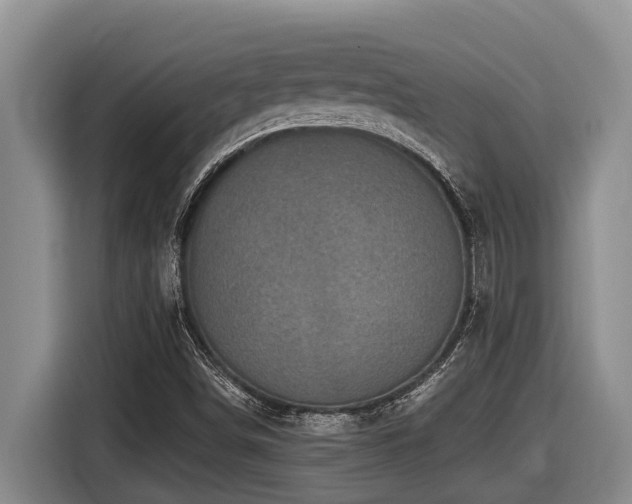 X0000116451498200912081607