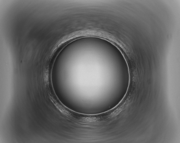X0000116451499200912081607