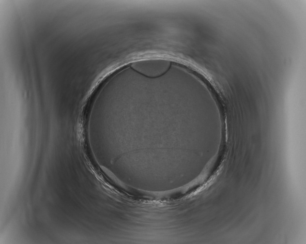 X0000116451501200912081607