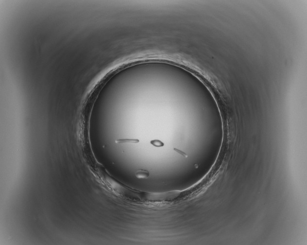 X0000116451502200912081607