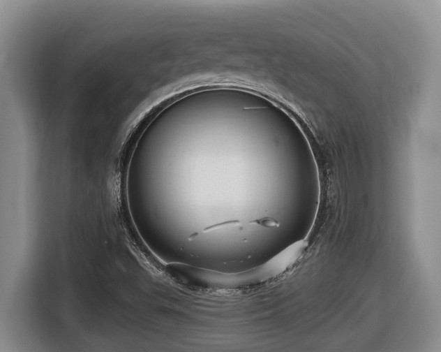 X0000116451503200912081607
