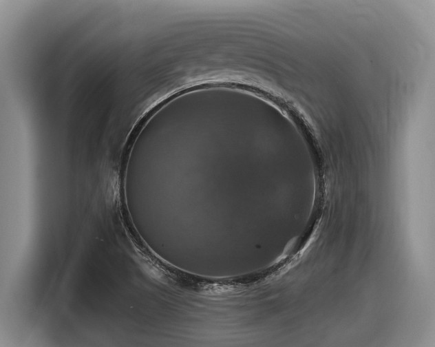 X0000116451505200912081607