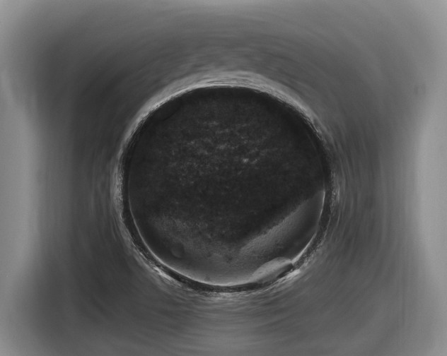 X0000116451506200912081607