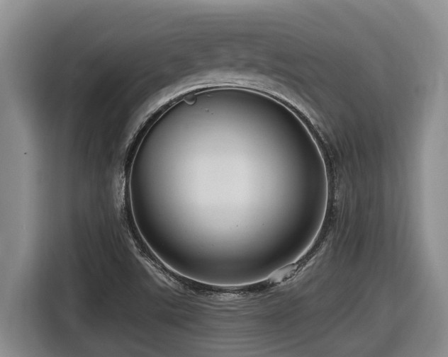X0000116451507200912081607