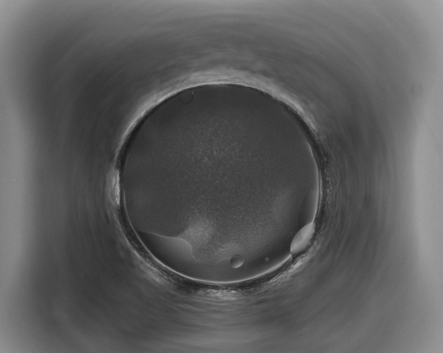 X0000116451509200912081607