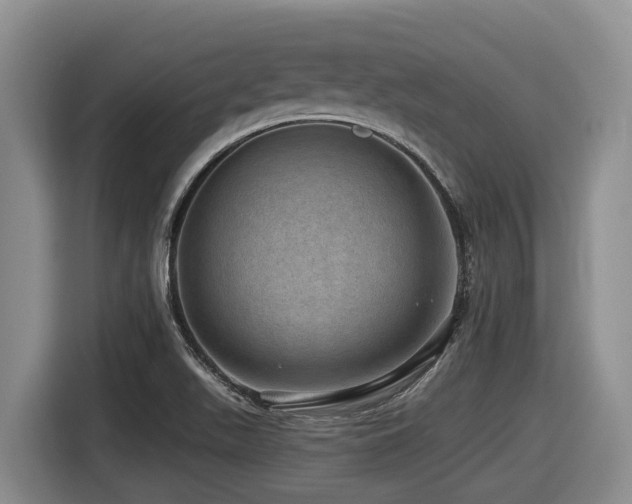 X0000116451511200912081607