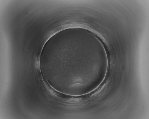 X0000116451513200912081607