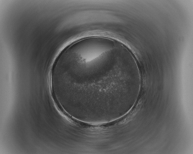 X0000116451515200912081607