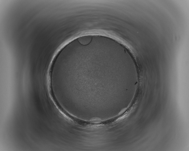 X0000116451517200912081607