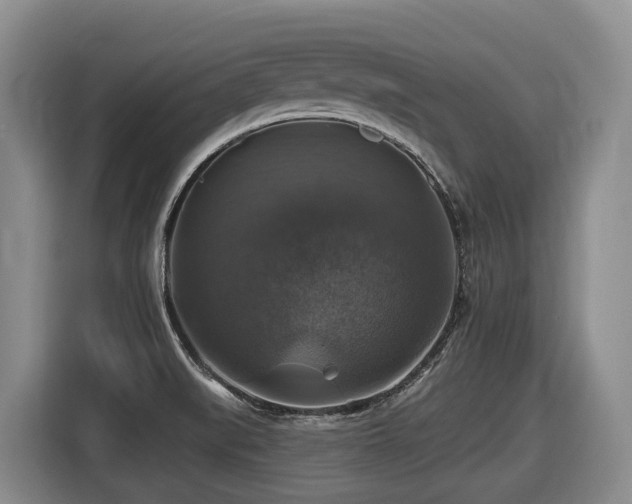 X0000116451519200912081607