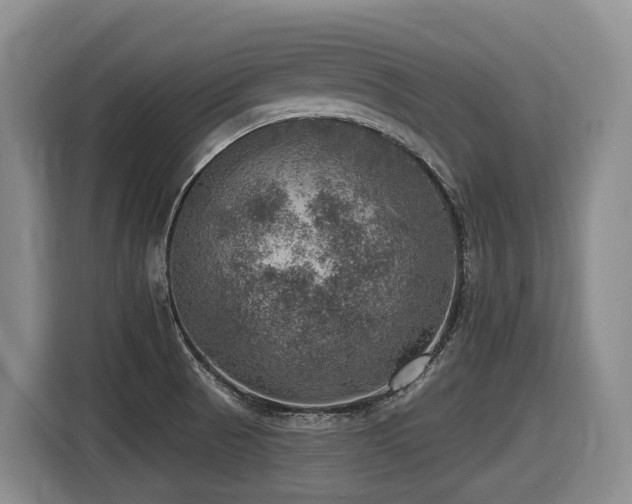 X0000116451521200912081607