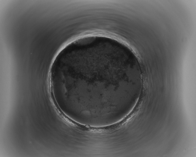 X0000116451522200912081607