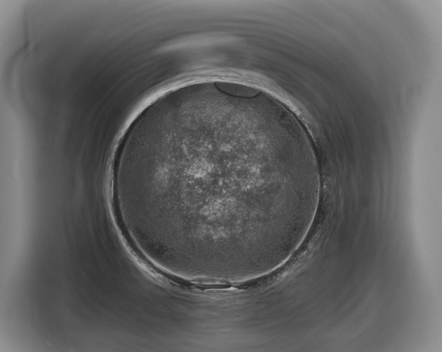 X0000116451523200912081607